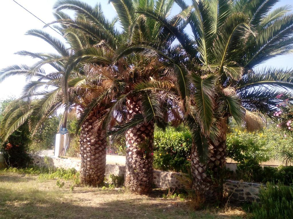 Guesthouse Karidia Skala Eresou Exterior photo